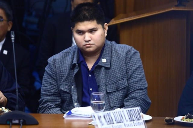 Mark Allan Arevalo Biography: Net Worth, Age, Family, Ghost Flood Control Projects • HausaDailyNews.com mark allan arevalo biography photo